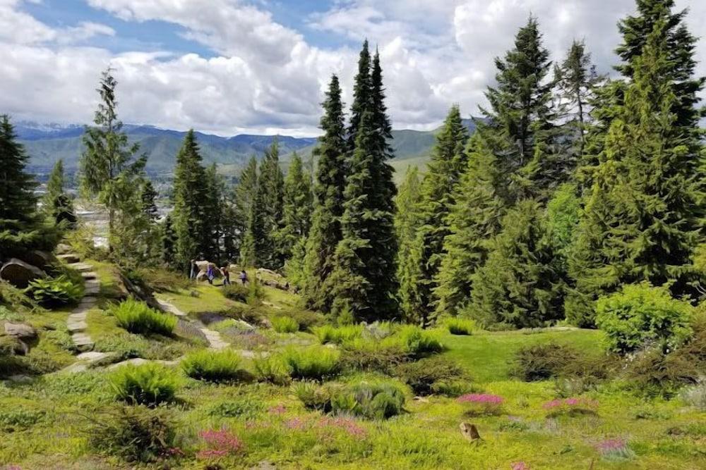 Hilton Garden Inn Wenatchee, Wa Zewnętrze zdjęcie